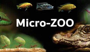 micro-zoo